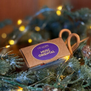 Diffuseur Musc oriental dans son étui papier, posée au milieu d’une guirlande de sapin avec pommes de pin et petites lumières chaleureuses, ambiance décorative de Noël.